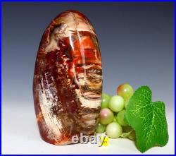 Spectacular Petrified Fossilised Wood Polished Freeform Arizona Rainbow 1468g