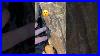 Spot_The_Fossil_Wood_Turned_To_Stone_Petrifiedwood_Rockhounding_Fossilhunting_01_mc