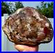 Stunning_8_Pound_Large_PETRIFIED_WOOD_Quartz_Crystal_FOSSIL_Display_For_Sale_01_bvh