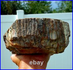 Stunning 8 Pound Large PETRIFIED WOOD Quartz Crystal FOSSIL Display For Sale