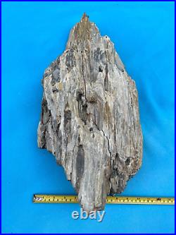 Texas Petrified Fossil Wood Large 22 Rotted Detailed Log Natural Aquarium Decor