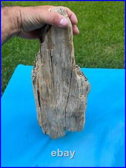 Texas Petrified Fossil Wood Large 22 Rotted Detailed Log Natural Aquarium Decor