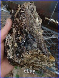 Texas Petrified Fossilized Wood. See Discription For Video