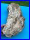 Texas_Petrified_Wood_Large_17x8_Rotted_Log_Fossil_Perfect_Natural_Aquascape_01_vwn