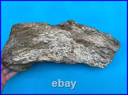 Texas Petrified Wood Large 17x8 Rotted Log Fossil Perfect Natural Aquascape
