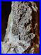 Texas_Petrified_Wood_with_Shiney_Sparkling_Crystals_See_Discription_for_Video_01_bl