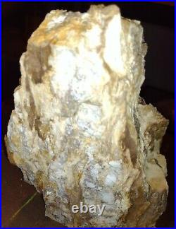 Texas Petrified Wood with Shiney Sparkling Crystals. See Discription for Video
