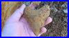 The_Best_Megalodon_Tooth_Hunting_Site_I_Ever_Found_01_tzt