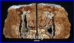 Thunder Egg Geode 10 wide, x 5 1/4 tall, x1 5/8 thick, 6.2 pounds