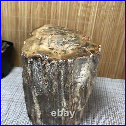 Top 104MM Natural Petrified Wood Rough Slice Madagascar 1936g A1702