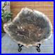 Top_165mm_Natural_Petrified_Wood_fossil_Rough_Slice_Madagascar_855g_A3756_01_dd