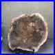 Top_165mm_Natural_Petrified_Wood_fossil_Rough_Slice_Madagascar_855g_A4117_01_vr