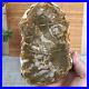 Top_175mm_Natural_Petrified_Wood_fossil_Rough_Slice_Madagascar_696g_A3750_01_vbzs