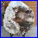 Top_180mm_Natural_Petrified_Wood_fossil_Rough_Slice_Madagascar_1236g_A3755_01_cex