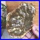 Top_180mm_Natural_Petrified_Wood_fossil_Rough_Slice_Madagascar_713g_A3749_01_bnus