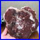 Top_190mm_Natural_Petrified_Wood_fossil_Rough_Slice_Madagascar_1_23kg_g7581_01_smf
