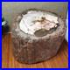 Top_200mm_Natural_Petrified_Wood_fossil_Rough_Slice_Madagascar_7_47kg_g7603_01_gap