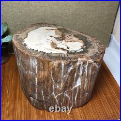 Top 200mm Natural Petrified Wood fossil Rough Slice Madagascar 7.47kg g7603 Top 200mm Natural Petrified Wood fossil Rough Slice Madagascar 7.47kg g7603