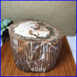 Top 200mm Natural Petrified Wood fossil Rough Slice Madagascar 7.47kg g7603 Top 200mm Natural Petrified Wood fossil Rough Slice Madagascar 7.47kg g7603