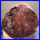 Top_215mm_Natural_Petrified_Wood_fossil_Rough_Slice_Madagascar_1_87kg_g7585_01_szxr