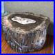 Top_220mm_Natural_Petrified_Wood_fossil_Rough_Slice_Madagascar_8_33kg_g7604_01_dbzf