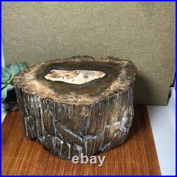 Top 220mm Natural Petrified Wood fossil Rough Slice Madagascar 8.33kg g7604 Top 220mm Natural Petrified Wood fossil Rough Slice Madagascar 8.33kg g7604