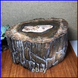 Top 220mm Natural Petrified Wood fossil Rough Slice Madagascar 8.33kg g7604 Top 220mm Natural Petrified Wood fossil Rough Slice Madagascar 8.33kg g7604