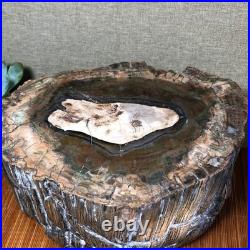 Top 220mm Natural Petrified Wood fossil Rough Slice Madagascar 8.33kg g7604 Top 220mm Natural Petrified Wood fossil Rough Slice Madagascar 8.33kg g7604