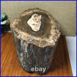 Top 220mm Natural Petrified Wood fossil Rough Slice Madagascar 8.33kg g7604 Top 220mm Natural Petrified Wood fossil Rough Slice Madagascar 8.33kg g7604