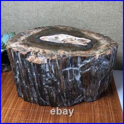 Top 220mm Natural Petrified Wood fossil Rough Slice Madagascar 8.33kg g7604 Top 220mm Natural Petrified Wood fossil Rough Slice Madagascar 8.33kg g7604