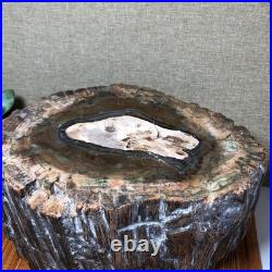 Top 220mm Natural Petrified Wood fossil Rough Slice Madagascar 8.33kg g7604 Top 220mm Natural Petrified Wood fossil Rough Slice Madagascar 8.33kg g7604