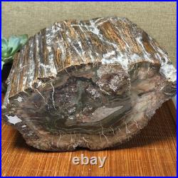 Top 220mm Natural Petrified Wood fossil Rough Slice Madagascar 8.33kg g7604 Top 220mm Natural Petrified Wood fossil Rough Slice Madagascar 8.33kg g7604