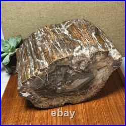 Top 220mm Natural Petrified Wood fossil Rough Slice Madagascar 8.33kg g7604 Top 220mm Natural Petrified Wood fossil Rough Slice Madagascar 8.33kg g7604