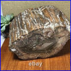 Top 220mm Natural Petrified Wood fossil Rough Slice Madagascar 8.33kg g7604 Top 220mm Natural Petrified Wood fossil Rough Slice Madagascar 8.33kg g7604