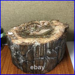 Top 220mm Natural Petrified Wood fossil Rough Slice Madagascar 8.33kg g7604 Top 220mm Natural Petrified Wood fossil Rough Slice Madagascar 8.33kg g7604