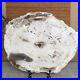 Top_233mm_Natural_Petrified_Wood_fossil_Rough_Slice_Madagascar_2_04kg_A3747_01_kiuf