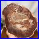 Top_240mm_Natural_Petrified_Wood_fossil_Rough_Slice_Madagascar_1_82kg_g7771_01_kv