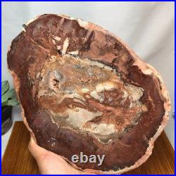 Top 240mm Natural Petrified Wood fossil Rough Slice Madagascar 1.82kg g7771 Top 240mm Natural Petrified Wood fossil Rough Slice Madagascar 1.82kg g7771