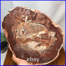 Top 240mm Natural Petrified Wood fossil Rough Slice Madagascar 1.82kg g7771 Top 240mm Natural Petrified Wood fossil Rough Slice Madagascar 1.82kg g7771