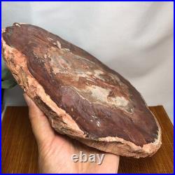 Top 240mm Natural Petrified Wood fossil Rough Slice Madagascar 1.82kg g7771 Top 240mm Natural Petrified Wood fossil Rough Slice Madagascar 1.82kg g7771