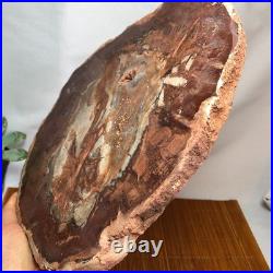 Top 240mm Natural Petrified Wood fossil Rough Slice Madagascar 1.82kg g7771 Top 240mm Natural Petrified Wood fossil Rough Slice Madagascar 1.82kg g7771