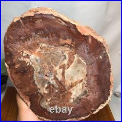 Top 240mm Natural Petrified Wood fossil Rough Slice Madagascar 1.82kg g7771 Top 240mm Natural Petrified Wood fossil Rough Slice Madagascar 1.82kg g7771