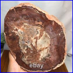 Top 240mm Natural Petrified Wood fossil Rough Slice Madagascar 1.82kg g7771 Top 240mm Natural Petrified Wood fossil Rough Slice Madagascar 1.82kg g7771