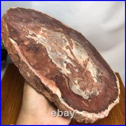 Top 240mm Natural Petrified Wood fossil Rough Slice Madagascar 1.82kg g7771 Top 240mm Natural Petrified Wood fossil Rough Slice Madagascar 1.82kg g7771