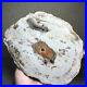 Top_249mm_Natural_Petrified_Wood_fossil_Rough_Slice_Madagascar_1_98kg_A4122_01_omlp
