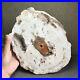 Top_249mm_Natural_Petrified_Wood_fossil_Rough_Slice_Madagascar_2_0kg_A4123_01_drh