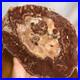 Top_255mm_Natural_Petrified_Wood_fossil_Rough_Slice_Madagascar_2_27kg_g7775_01_opxk