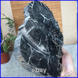 Top 267mm Natural Petrified Wood fossil Rough Slice Madagascar 2.96kg A3748