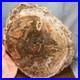 Top_300mm_Natural_Petrified_Wood_fossil_Rough_Slice_Madagascar_2_81kg_g7768_01_tq