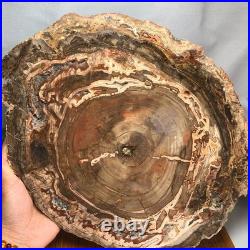 Top 320mm Natural Petrified Wood fossil Rough Slice Madagascar 3.69kg g7769 Top 320mm Natural Petrified Wood fossil Rough Slice Madagascar 3.69kg g7769